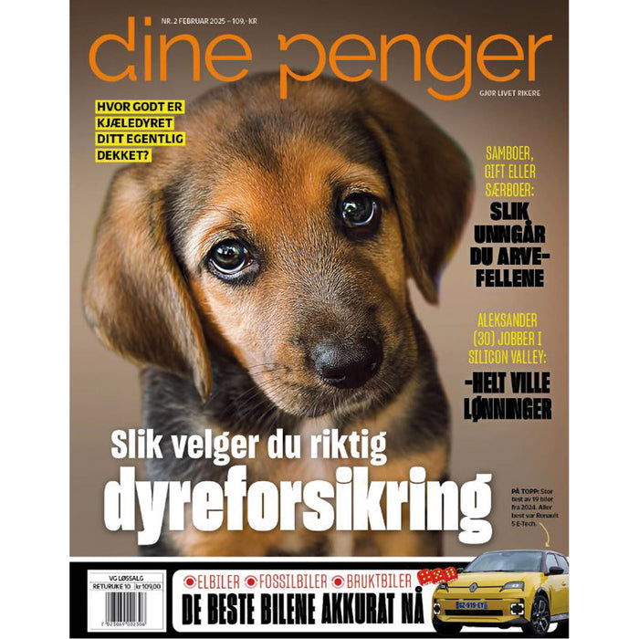 Dine Penger 02/25