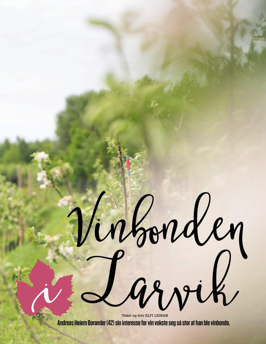 Vinguiden